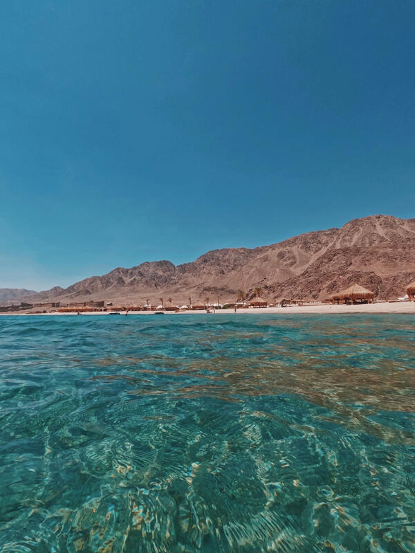 https://www.gazef.com/tours/sinai-hopping-summer-edition-141379