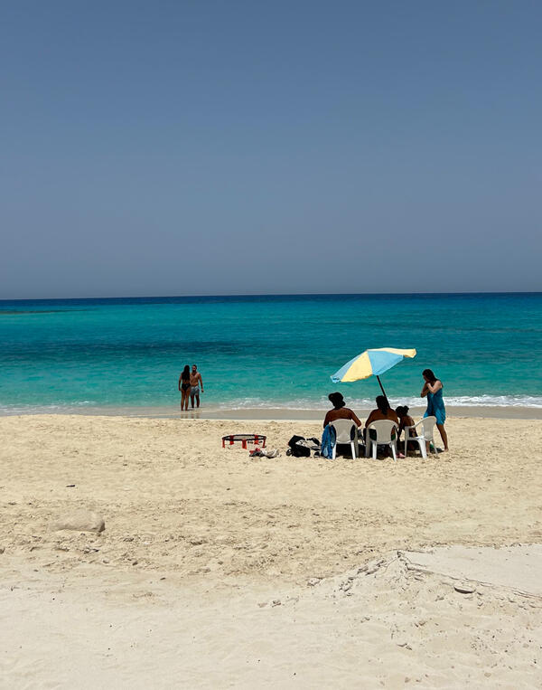 https://www.gazef.com/tours/matrouh-127466